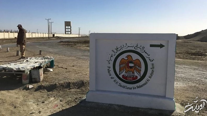 شکار پرنده کمیاب برای افزایش قدرت جنسی شیوخ امارات! شکار پرنده کمیاب برای افزایش قدرت جنسی شیوخ امارات!